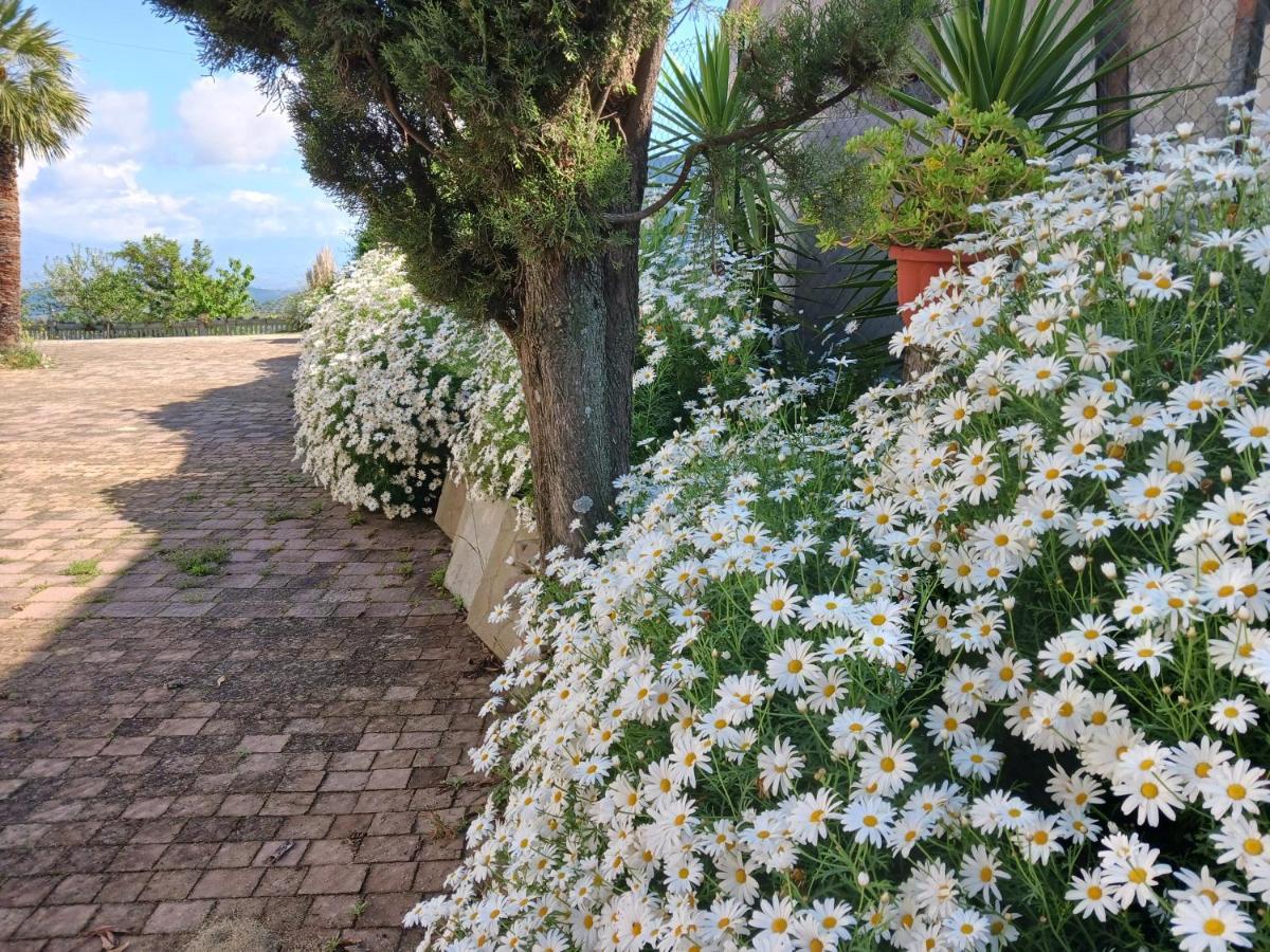 Вилла Agriturismo Vemi Santa Sofia d'Epiro Экстерьер фото